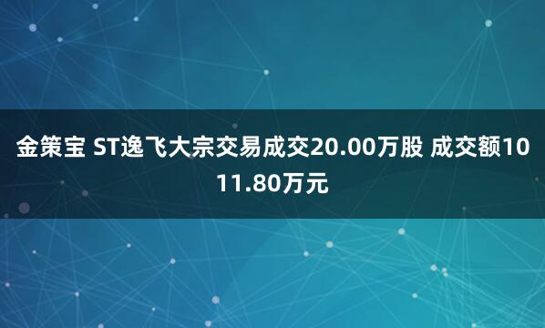 金策宝 ST逸飞大宗交易成交20.00万股 成交额1011.80万元
