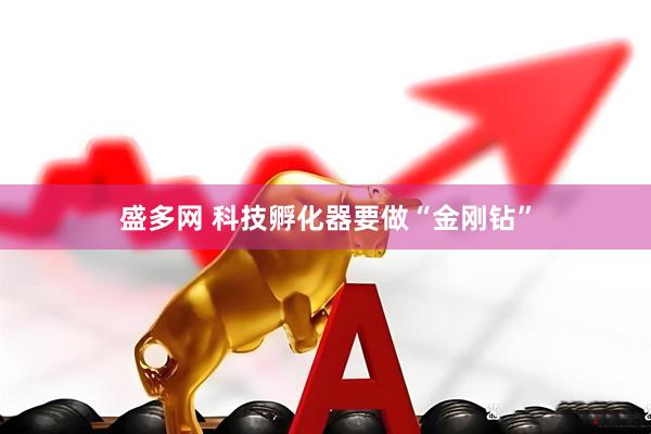 盛多网 科技孵化器要做“金刚钻”