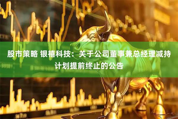 股市策略 银禧科技：关于公司董事兼总经理减持计划提前终止的公告