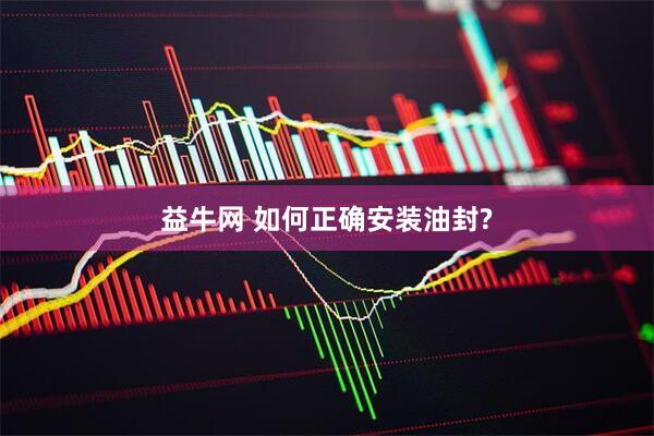 益牛网 如何正确安装油封?